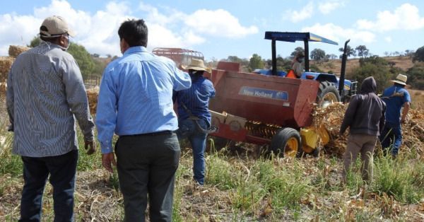 Ayuntamiento De Puebla Reactiva Hect Reas Para La Producci N Agr Cola