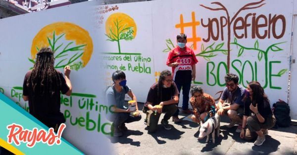 Activistas Ambientales Pintan Mural En Defensa De Flor Del Bosque En El