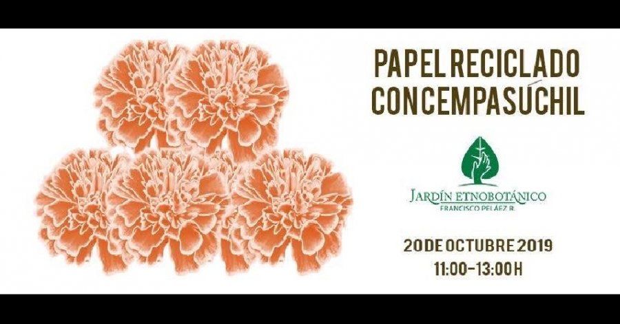 Aprende a hacer papel reciclado con flor de cempasúchil el 20 de octubre en  Cholula