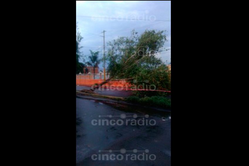 Intensa Lluvia En Puebla Deja Inundaciones Y árboles Caídos 0693