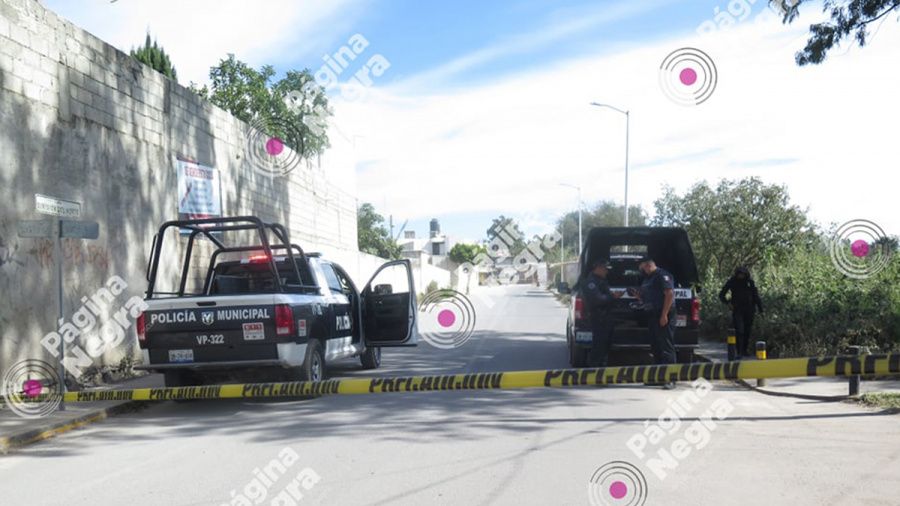 Hallan Cadáver Embolsado En Barranca De Puebla; Era Devorado Por Perros