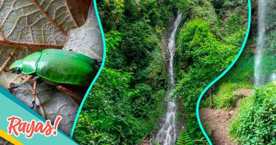 Las cascadas La Morena en Huauchinango te esperan