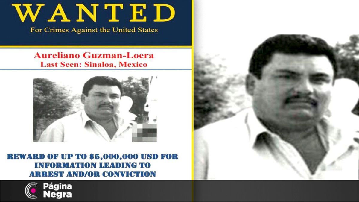 Ofrecen Recompensa De 5 Mdd Por Hermano De El Chapo 9167